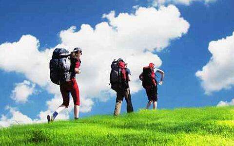 《中国新闻》报